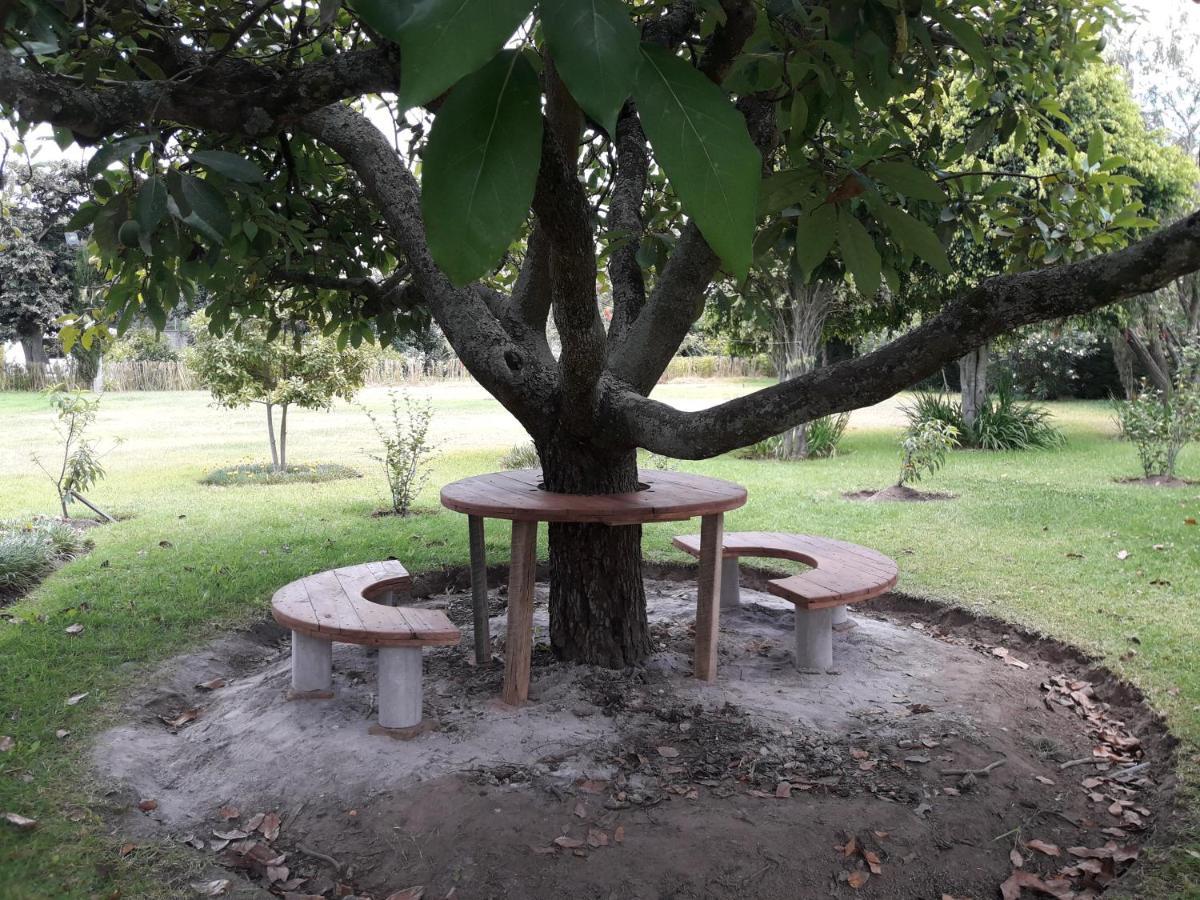 Quinta La Gardenia Hotel Puembo Bagian luar foto